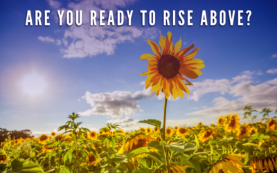 Are You Ready To Rise Above?