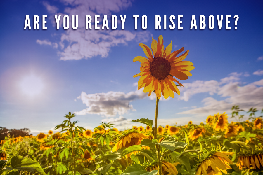 Are You Ready To Rise Above?
